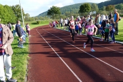 Wechselzone Paarlauf 2017