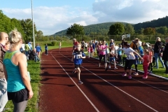 Wechselzone Paarlauf 2017