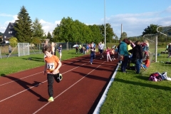 Wechselzone Paarlauf 2017